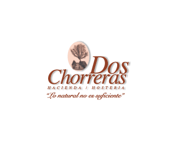 logo_002